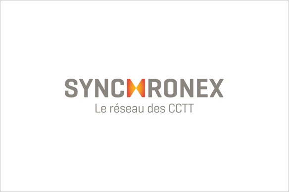 Accompagnement en relations gouvernementales pour le Réseau Trans-tech (maintenant Synchronex)