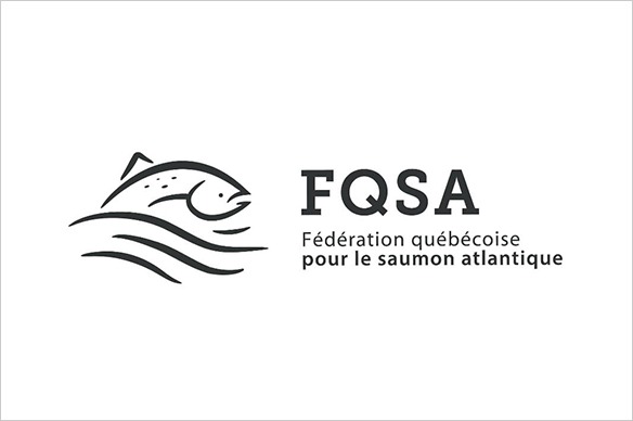 Accompagnement stratégique des associations du monde du saumon au Québec