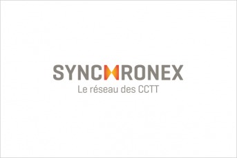 Accompagnement en relations gouvernementales pour le Réseau Trans-tech (maintenant Synchronex)