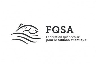 Accompagnement stratégique des associations du monde du saumon au Québec